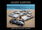 Silver Surfers by Neil Peart, 9798886631005