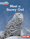 Meet a Snowy Owl by Katie Peters, 9798765626337
