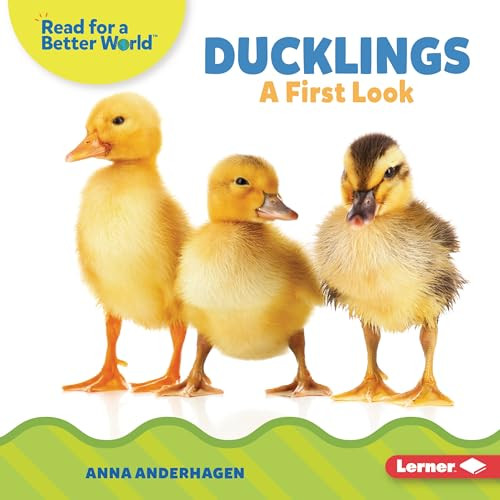 Ducklings (A First Look) by Anna Anderhagen, 9798765626368