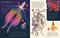 Obsessive About Octopuses - 9781838748746 by Owen Davey