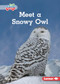 Meet a Snowy Owl - 9798765629321 by Katie Peters, 9798765629321