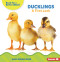 Ducklings (A First Look) - 9798765629482 by Anna Anderhagen, 9798765629482