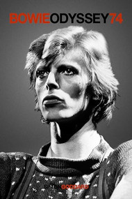 Bowie Odyssey 74 by Simon Goddard, 9781915841032