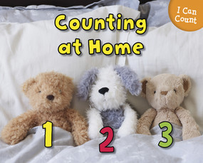 Counting at Home - 9781432966997 by Rebecca Rissman, 9781432966997