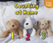 Counting at Home - 9781432966997 by Rebecca Rissman, 9781432966997