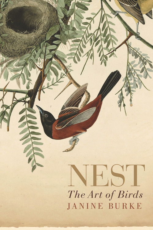 Nest (The Art of Birds) by Janine Burke, 9781742378299