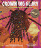Crowning Glory: A Celebration of Black Hair by Carole Boston Weatherford, Ekua Holmes, 9780763697945