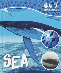 Sea - 9781786372222 by Harriet Brundle, 9781786372222