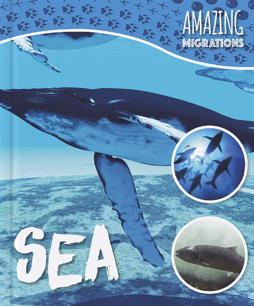 Sea - 9781786372222 by Harriet Brundle, 9781786372222