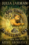 The Time-Travelling Cat and the Aztec Sacrifice by Julia Jarman, 9781842705162