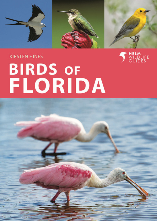 Birds of Florida by Kirsten Hines, 9781472993359