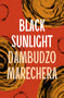 Black Sunlight by Dambudzo Marechera, 9781035906161