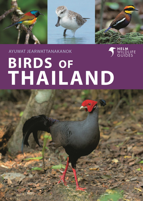 Birds of Thailand by Ayuwat Jearwattanakanok, 9781399414715