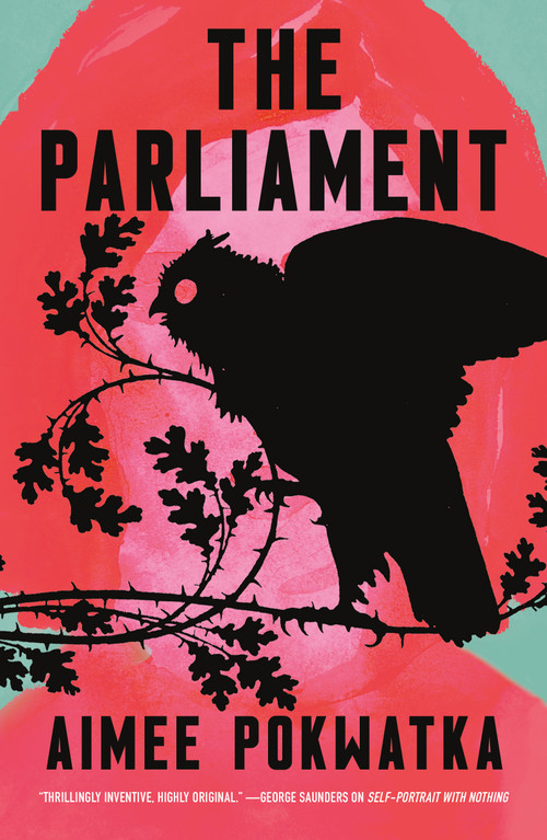 The Parliament - 9781250820990 by Aimee Pokwatka, 9781250820990