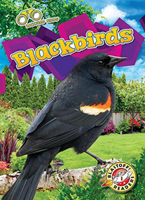 Blackbirds by Rachael Barnes, Dana Fleming, 9781644876893