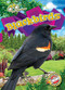Blackbirds by Rachael Barnes, Dana Fleming, 9781644876893