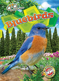 Bluebirds by Rachael Barnes, Dana Fleming, 9781644876909