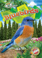 Bluebirds by Rachael Barnes, Dana Fleming, 9781644876909