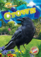 Crows - 9781644876916 by Rachael Barnes, Dana Fleming, 9781644876916