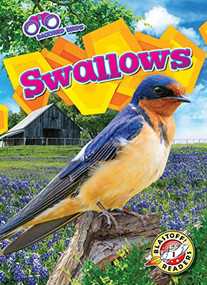 Swallows - 9781644876930 by Rachael Barnes, Dana Fleming, 9781644876930