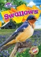 Swallows - 9781644876930 by Rachael Barnes, Dana Fleming, 9781644876930