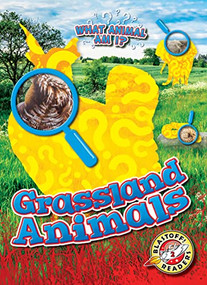 Grassland Animals - 9781644877289 by Rebecca Sabelko, Dana Fleming, 9781644877289