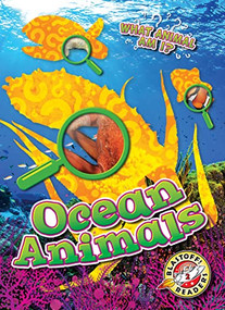 Ocean Animals - 9781644877302 by Rebecca Sabelko, Dana Fleming, 9781644877302