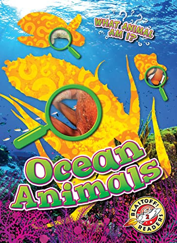Ocean Animals - 9781644877302 by Rebecca Sabelko, Dana Fleming, 9781644877302