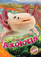 Axolotls - 9798886871180 by Rachel Grack, Dana Fleming, 9798886871180