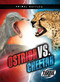 Ostrich vs. Cheetah - 9798886871661 by Nathan Sommer, Dana Fleming, 9798886871661