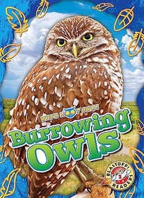 Burrowing Owls - 9798886874136 by Rachael Barnes, Dana Fleming, 9798886874136
