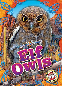 Elf Owls by Elizabeth Neuenfeldt, Dana Fleming, 9798886874143