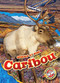 Caribou - 9798886874181 by Rachel Grack, Dana Fleming, 9798886874181