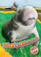 Manatees - 9798886874204 by Rachel Grack, Dana Fleming, 9798886874204