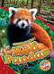 Red Pandas - 9798886874228 by Rachel Grack, Dana Fleming, 9798886874228