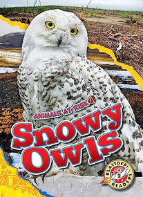 Snowy Owls - 9798886874235 by Rachel Grack, Dana Fleming, 9798886874235