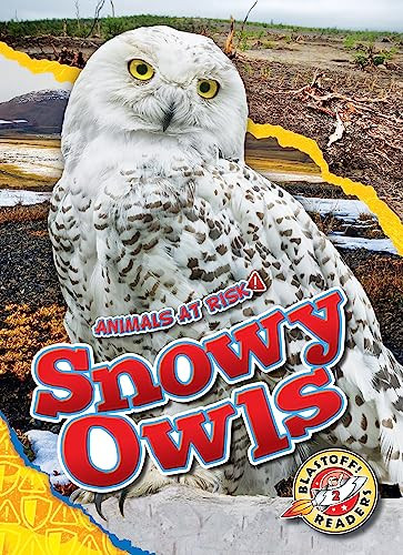 Snowy Owls - 9798886874235 by Rachel Grack, Dana Fleming, 9798886874235