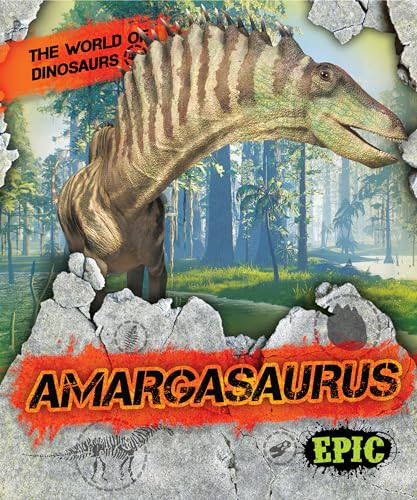 Amargasaurus by Rebecca Sabelko, James Kuether, Dana Fleming, 9798886875027