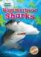 Hammerhead Sharks - 9798886877472 by Rebecca Pettiford, 9798886877472