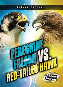 Peregrine Falcon vs. Red-tailed Hawk by Nathan Sommer, 9798886878257