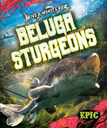 Beluga Sturgeons by Joanne Mattern, 9798886878370