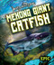 Mekong Giant Catfish by Joanne Mattern, 9798886878394