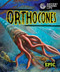 Orthocones by Kate Moening, Mat Edwards, 9798886878431