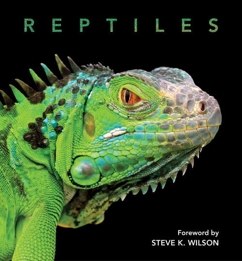 Reptiles - 9781925546675 by Steve Wilson, 9781925546675