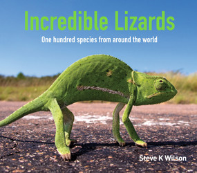 Incredible Lizards (One hundred species from around the world) by Steve Wilson, 9781925546989