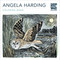 Angela Harding Coloring Book by Angela Harding, 9781804179086
