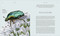 Insects (Discover the Science and Secrets Behind the World of Insects) - 9780593843499 by DK