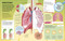 Brain Booster Human Body (Over 100 Mind-Boggling Activities that Make Learning Easy and Fun) by DK, 9780593847978