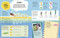 Brain Booster Human Body (Over 100 Mind-Boggling Activities that Make Learning Easy and Fun) by DK, 9780593847978