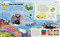 Océanos increíbles (Amazing Oceans) (Spanish Edition) by Annie Roth, 9780593848197